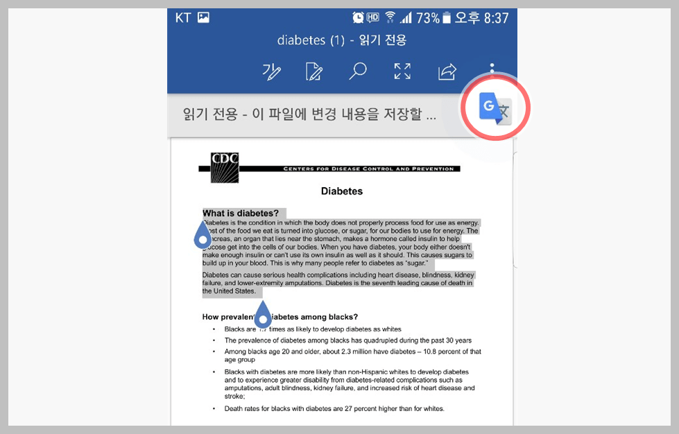 pdf 번역