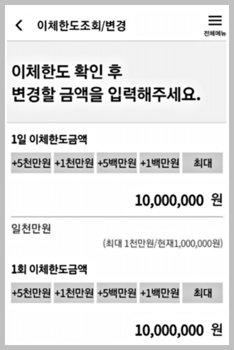 국민은행 이체한도 증액